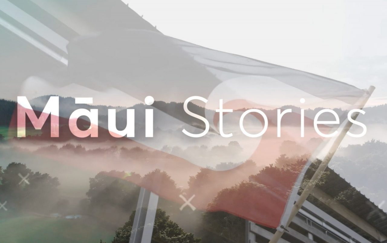 Māui Stories - Gallery Image